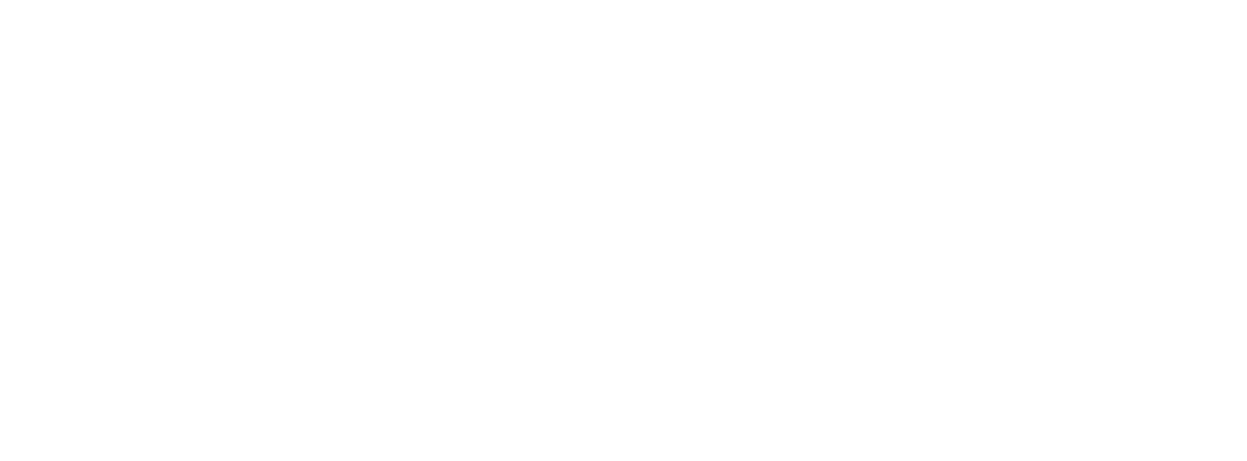 Bishay's Photography